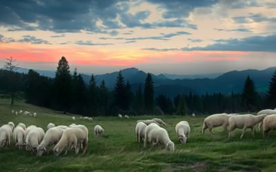 The Lord is My Shepherd