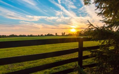 Good Fences Make Good Neighbors