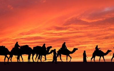 The Camels are Coming